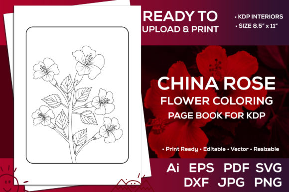 Discover the Beauty of China Rose Flower Coloring Page Book for KDP