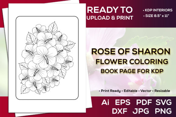 Explore Creativity with Rose of Sharon Coloring